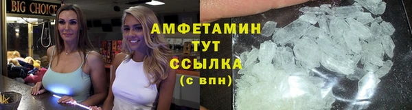 прущие грибы Нягань