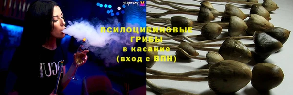 mdpv Нязепетровск