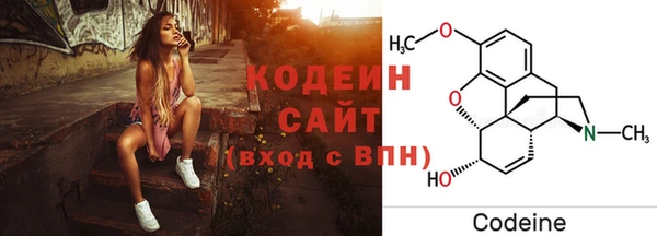 прущие грибы Нягань