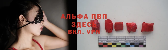 прущие грибы Нягань