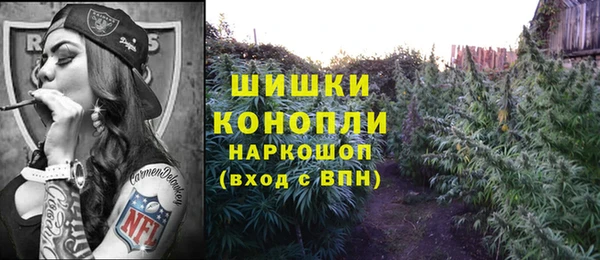 прущие грибы Нягань