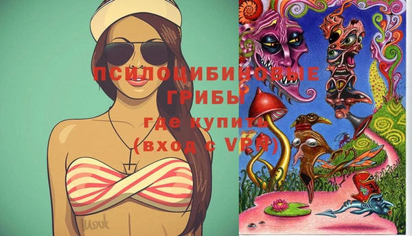 прущие грибы Нягань