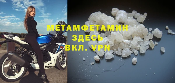 прущие грибы Нягань