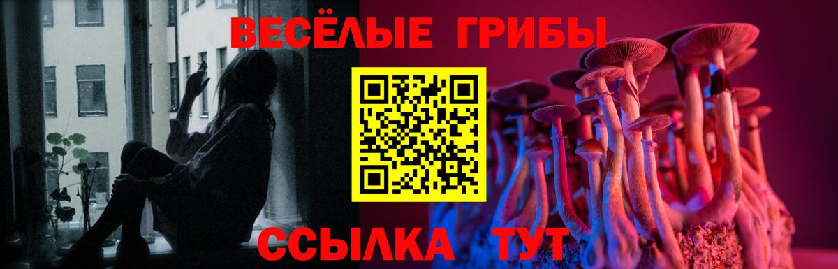 Псилоцибиновые грибы GOLDEN TEACHER  Ейск 