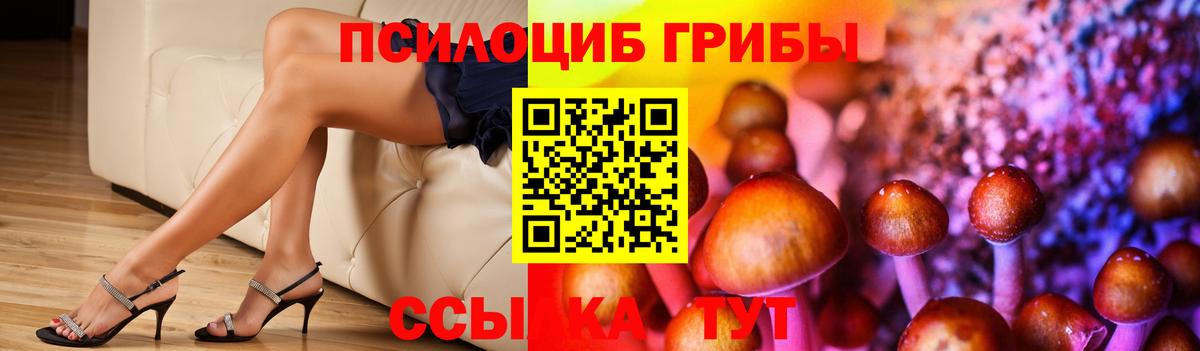 Ейск  купить наркотик  Вход с VPN  Псилоцибиновые грибы мицелий 